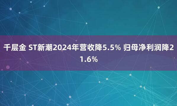 千层金 ST新潮2024年营收降5.5% 归母净利润降21.6%