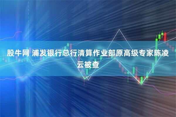 股牛网 浦发银行总行清算作业部原高级专家陈凌云被查