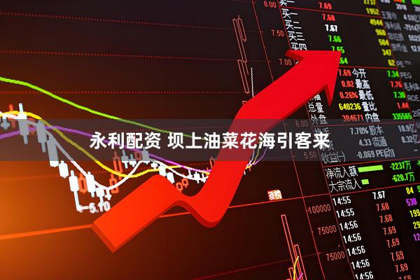 永利配资 坝上油菜花海引客来