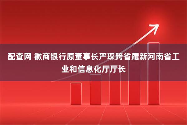 配查网 徽商银行原董事长严琛跨省履新河南省工业和信息化厅厅长
