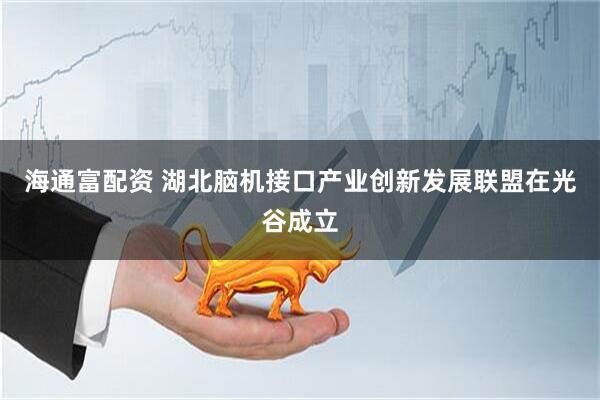 海通富配资 湖北脑机接口产业创新发展联盟在光谷成立
